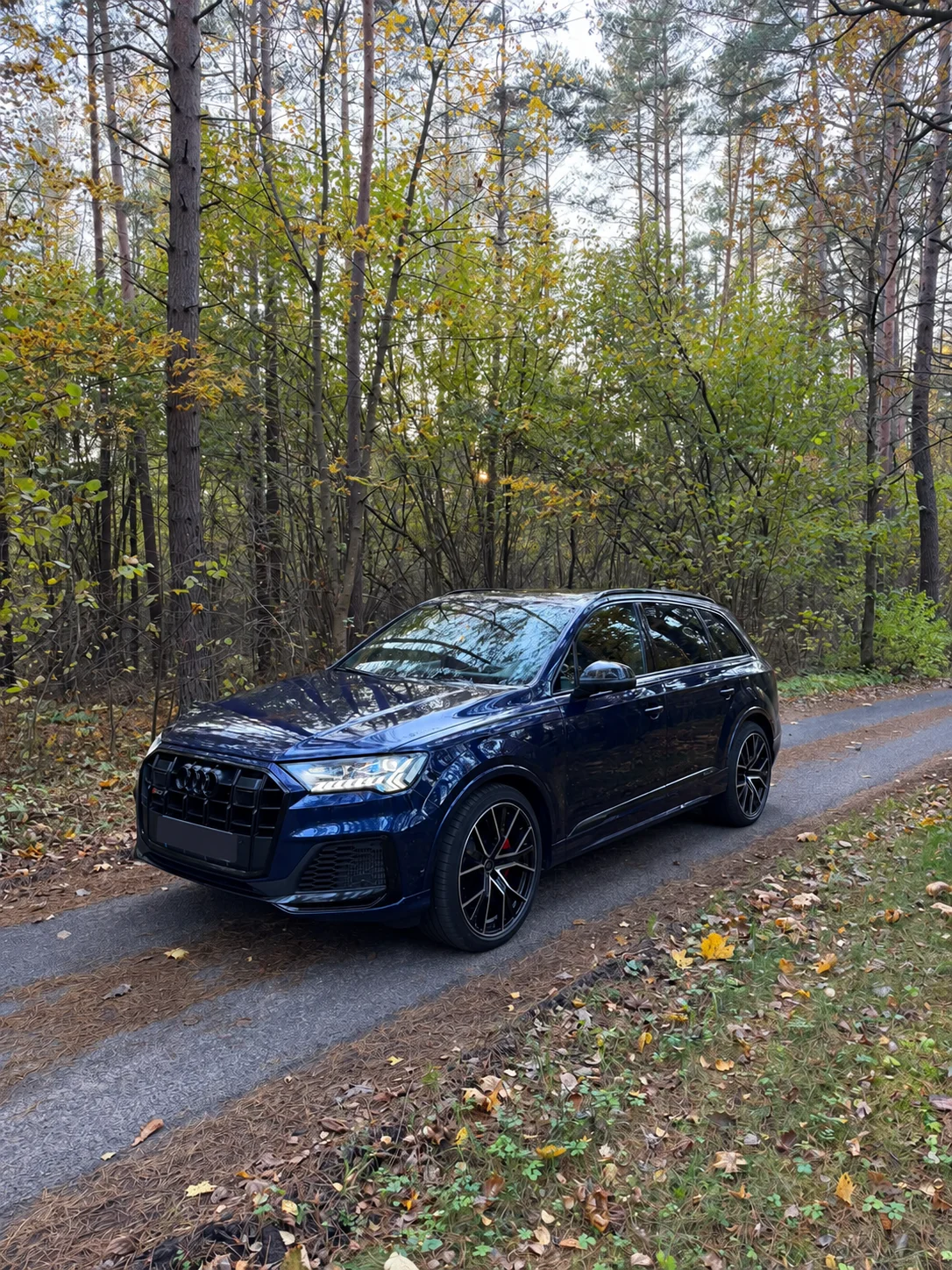 Audi SQ7 - nuotrauka 3