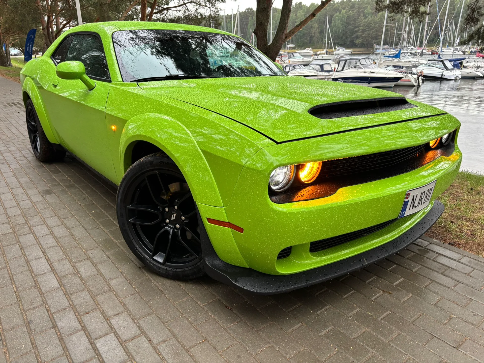 Dodge Challenger - nuotrauka 4
