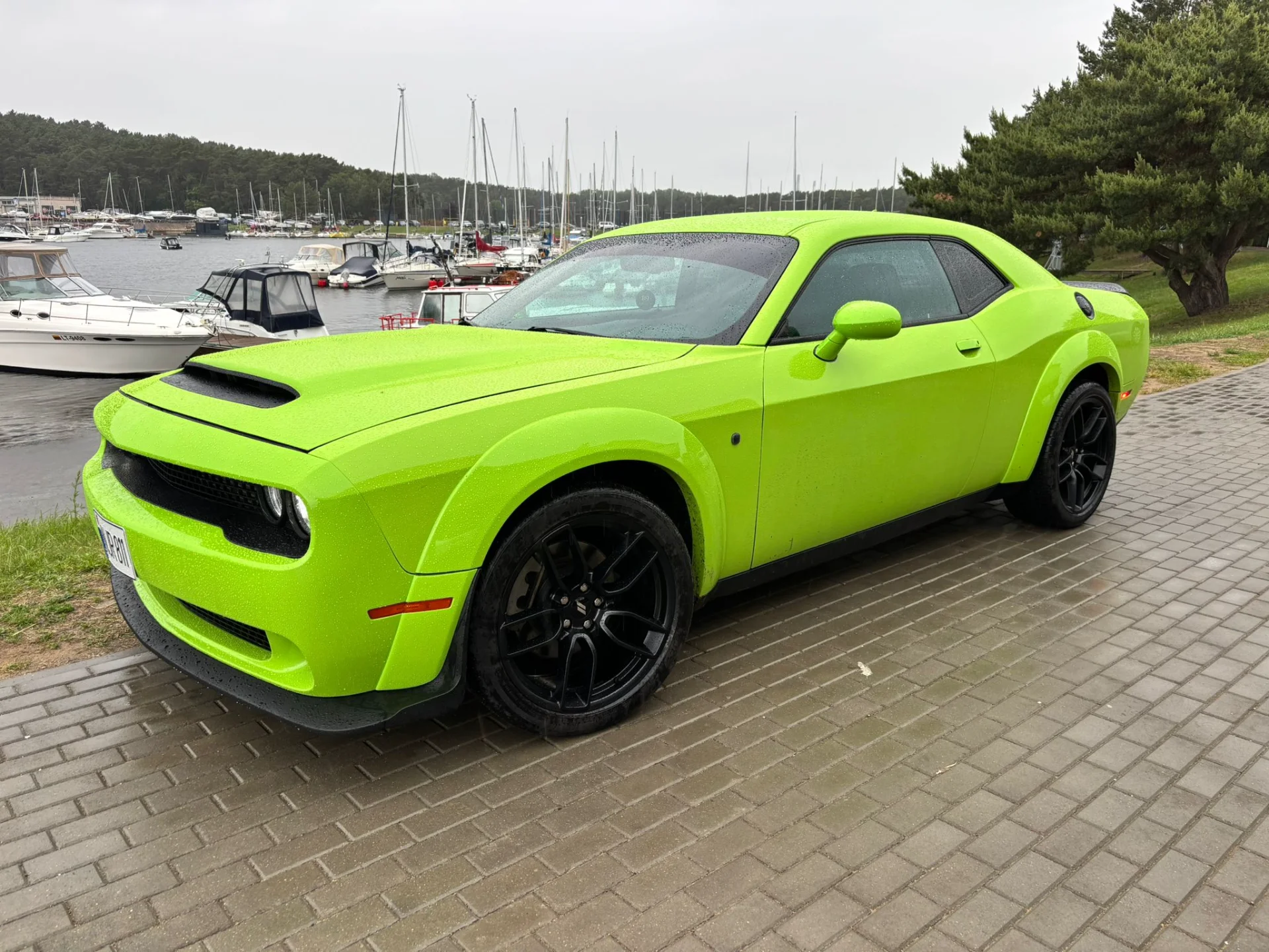 Dodge Challenger - nuotrauka 3