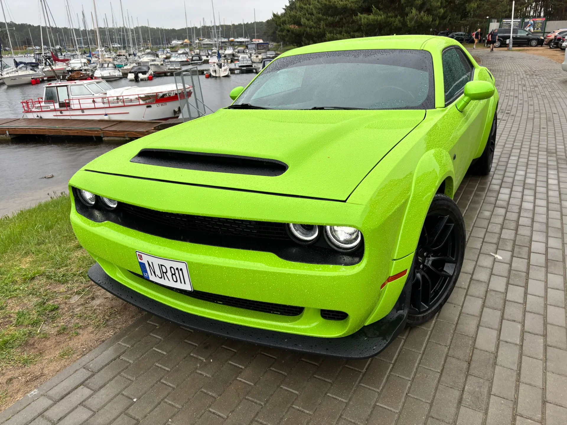 Dodge Challenger - nuotrauka 5