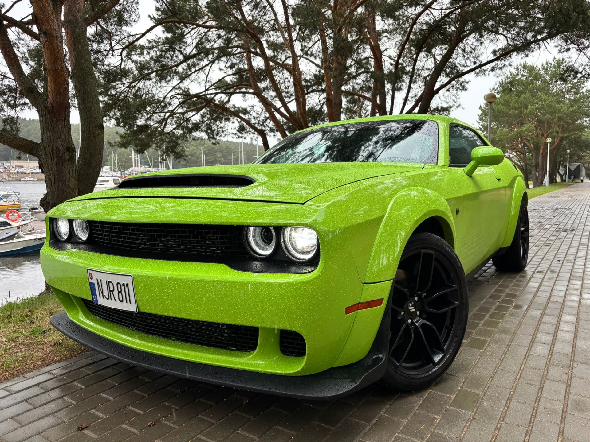 Dodge Challenger nuoma - Premium automobilių nuoma Lietuvoje